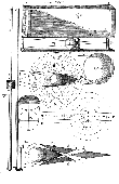 Scheme 37