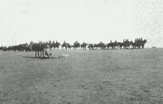 Trekking with General Buller - 5-inch Guns on the March