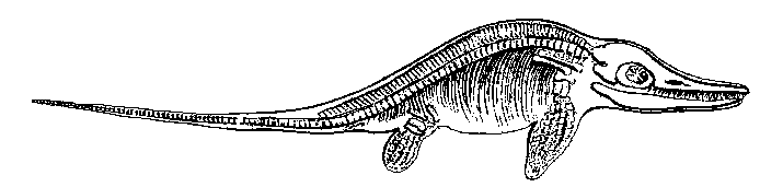 Ichthyosaurus