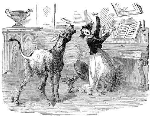 The Donkey in the Parlor