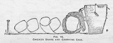 FIG. 16. CHICKEN SNARE AND CARRYING
CASE.