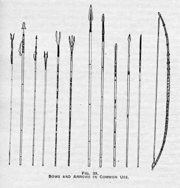 FIG. 39. BOWS AND ARROWS IN COMMON
USE.