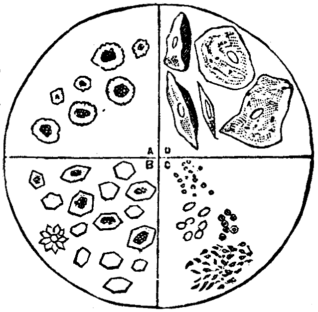 Illustration:
Fig. 7.