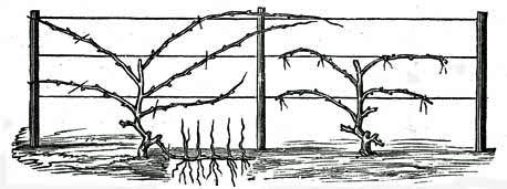 Fig.8 and Fig. 9