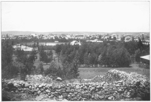 JOHANNESBURG FROM THE NORTH.