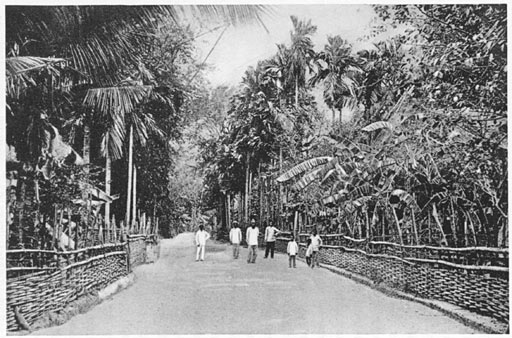 A Village Street in the Philippines