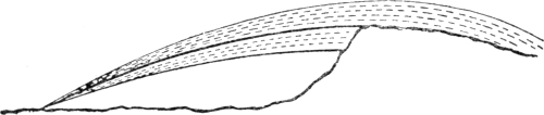 Fig. 48