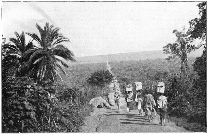 Van Entebbe naar Fort Portal den met papyrusstengels overdekte moerasvlakten.