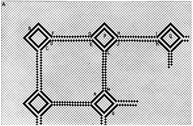 Plate LXIV. Geometric Design V.