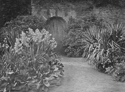 South Border Door and Yuccas in August.