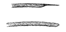 Fig. 44. Primary wing-feather of a
Humming-bird, the Selasphorus platycercus
(from a sketch by Mr. Salvin).
Upper figure, that of male; lower
figure, corresponding feather of female.