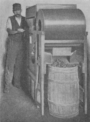 Fig. 48.—Winnowing and Barreling
Cranberries.