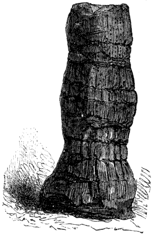 Fig. 40