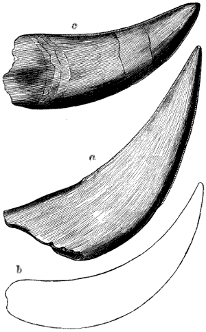 Fig. 179