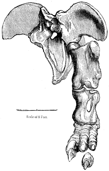 Fig. 187