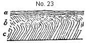 [Illustration:
Diagram described in note 23.]