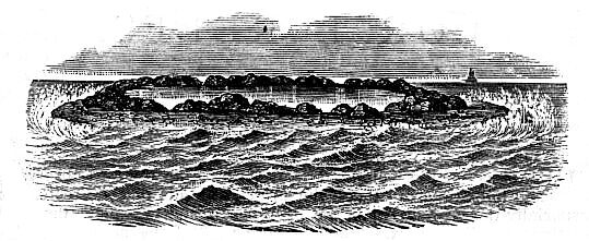 [Illustration:
Whitsunday Island]