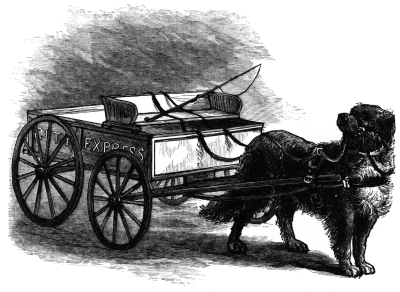 Dog pulling a cart