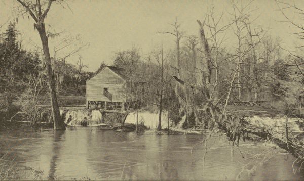 A SOUTHERN SAWMILL