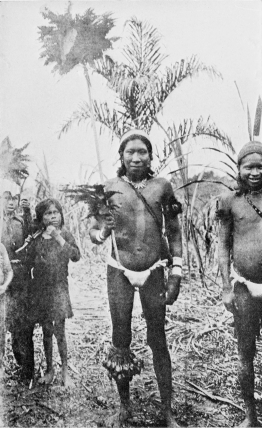 GUAMARES INDIANS, OF THE HUITOTO TRIBE, IN DANCE COSTUME.

To face p. 162.