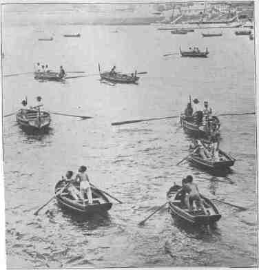 03 Boats and Diving Boys, Funchal 