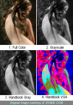 An image in full color, in grayscale, and with Handbook Gray and Handbook VGA palettes applied. This is a GIF image, so even full color and grayscale will exhibit some dithering.