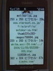 W21CAII写真