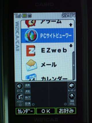 W21CAII写真