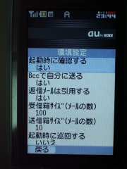 W21CAII写真