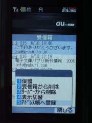 W21CAII写真