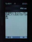 W21CAII写真