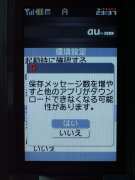 W21CAII写真