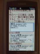 W21CAII写真