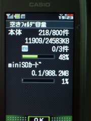 W21CAII写真