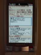 W21CAII写真