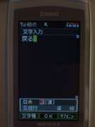 W21CAII写真