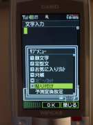 W21CAII写真