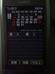 W21CAII写真