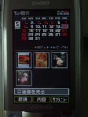 W21CAII写真