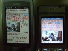 W21CAII写真