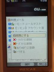 W21CAII写真