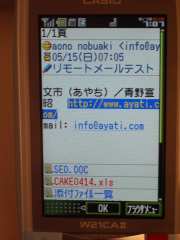 W21CAII写真