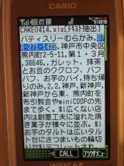 W21CAII写真