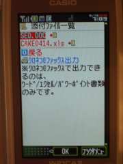 W21CAII写真