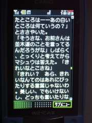 W21CAIIʐ^