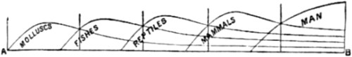 Geological Succession of the Classes of the Animal Kingdom.
