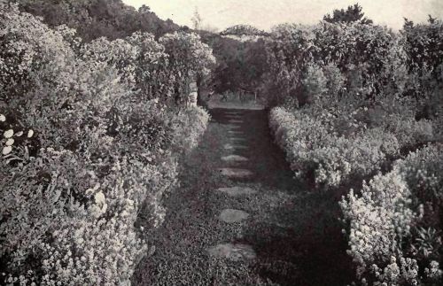 PLATE 27 "Riverside Farm," Tyringham, Mass. Mrs. Banyer Clarkson