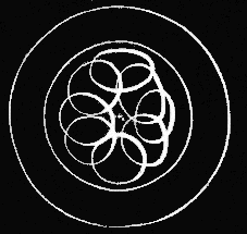 Fig. 157. Egg in which there are eight segments of the yolk.