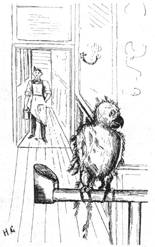 Parrot: "Here he comes again. If he pulls another feather out I'll fly
away!"

By H. Grattan in the "Pelican."

SELECTED BY MR. JOHN HASSALL.