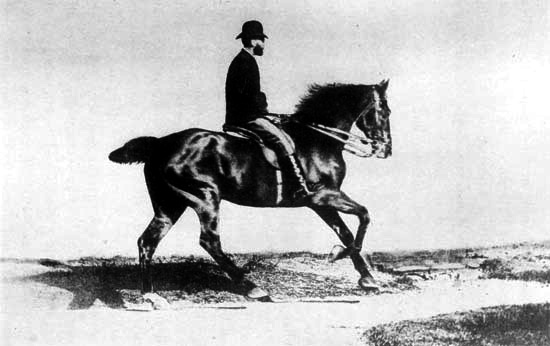 AN EASY CANTER